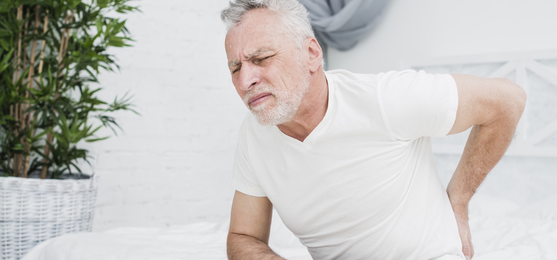 5 Best Mattresses for Back Pain Relief You Can Buy in India Blogs